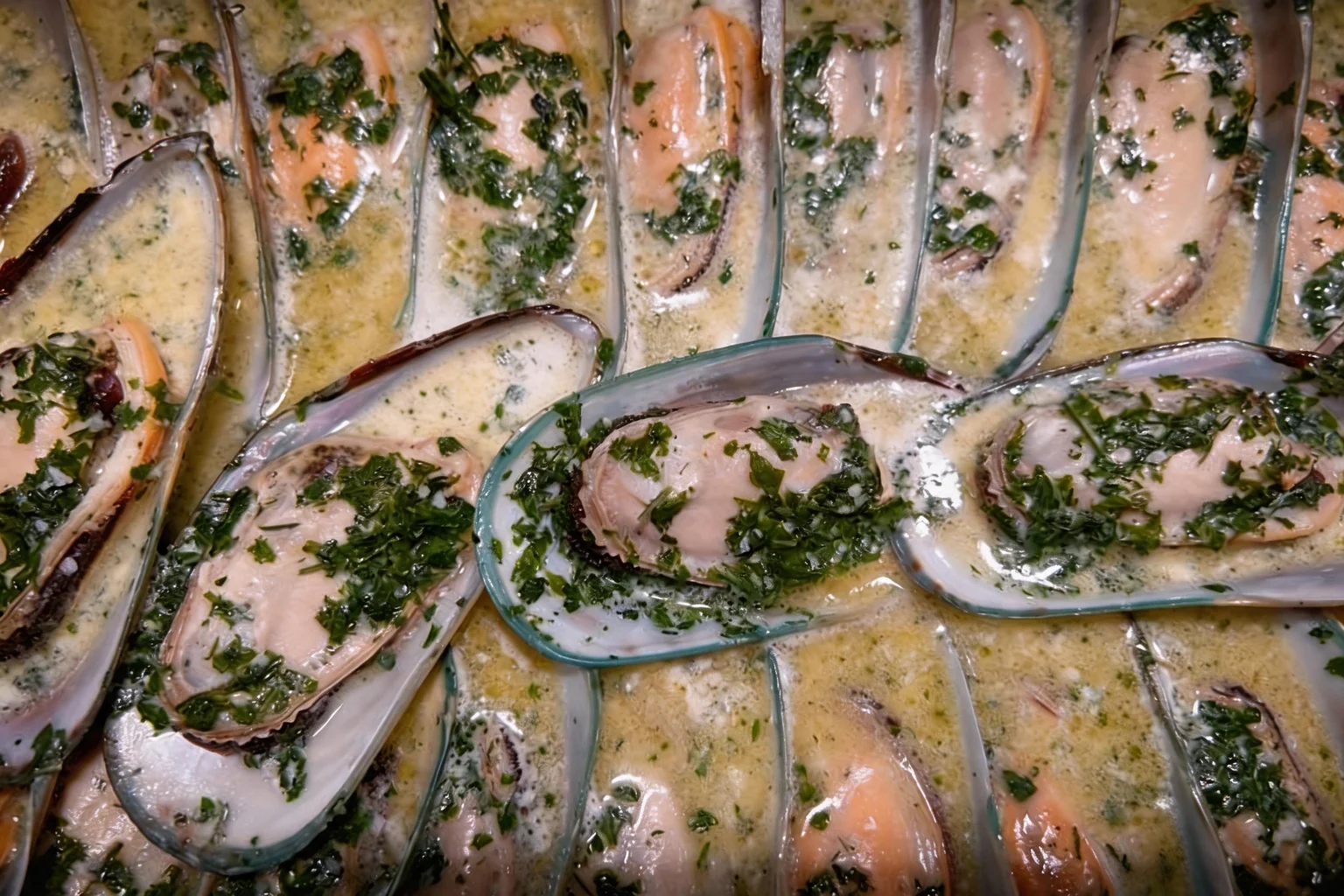 Moules sauce à la crème, vue de près.